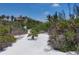 Picturesque beach path leading to a luxurious home surrounded by lush tropical foliage at 1168 Westway Dr, Sarasota, FL 34236