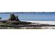 Picturesque shoreline with a unique tree stump and calm blue water backdrop at 1207 65Th Nw St, Bradenton, FL 34209