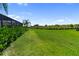 Large backyard with a well maintained lawn and privacy bushes along the back fence at 17737 Savory Mist Cir, Bradenton, FL 34211
