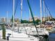 Picturesque marina view with an array of sailboats and waterfront highrise condominiums at 2217 Muesel St, Sarasota, FL 34237