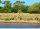 Scenic waterfront view with rocky bank and mature trees, showcasing two people biking along the path at 2217 Muesel St, Sarasota, FL 34237