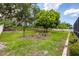 Beautiful backyard with verdant lawn, mature trees, and a bird feeder, perfect for enjoying nature at 2381 Appaloosa Cir, Sarasota, FL 34240