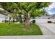 Charming home featuring lush front yard with mature tree, manicured lawn, and a well-maintained driveway at 2381 Appaloosa Cir, Sarasota, FL 34240
