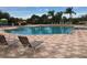Relaxing community pool with lounge chairs and palm trees in the distance for shade at 362 Fairway Isles Ln, Bradenton, FL 34212