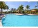Resort-style pool offers a refreshing escape, surrounded by palm trees and lounge areas at 5863 Cavano Dr, Sarasota, FL 34231