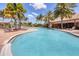 Enjoy this large community pool surrounded by mature palm trees and plenty of lounge seating at 5863 Cavano Dr, Sarasota, FL 34231