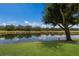 Scenic view of a pond and golf course with trees and blue skies in the background at 7211 Pasadena Gln, Lakewood Ranch, FL 34202
