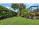 Well-maintained backyard with lush lawn, mature trees, and privacy hedge at 7717 Us Open Loop, Lakewood Ranch, FL 34202