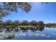 Scenic pond view reflecting trees and sky, with water lilies floating on the surface at 7717 Us Open Loop, Lakewood Ranch, FL 34202