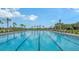 Expansive community pool with lap lanes and palm tree landscaping offers a resort-like experience at 10254 Morning Mist Ln, Sarasota, FL 34241