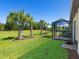 A beautifully maintained backyard with green grass, palm trees, and a screened lanai at 17612 Northwood St, Lakewood Ranch, FL 34202