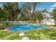 Backyard pool with brick trim, surrounded by lush lawn and mature trees at 2401 Riverview Blvd, Bradenton, FL 34205