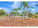 Community playground with swings, seating, wood chip ground covering, nearby splashpad and lush tropical landscaping at 5005 Torrey Pines Run, Bradenton, FL 34211