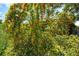 Lush front yard with vibrant greenery, flowers and a house number barely visible behind the foliage at 5317 14Th S Ave, Gulfport, FL 33707