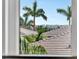 Beautiful view with palm trees and buildings in the distance seen from a window at 6317 Turtle Grass Dr, Bradenton, FL 34210