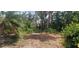 View of backyard featuring lush trees and vegetation showing the landscape and private wooded surroundings at 120 Sw Monroe N Cir, St Petersburg, FL 33703