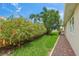 Lush landscaping featuring vibrant hibiscus bushes lining a brick pathway in the yard at 13391 Dimarco St, Venice, FL 34293