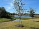 A scenic view of a serene lake in the backyard showcasing the picturesque natural surroundings of the property at 17637 Cantarina Cv, Bradenton, FL 34211