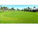 Scenic golf course with lush green fairways and mature trees, offering a tranquil and picturesque setting at 2103 Harbourside Dr # 1102, Longboat Key, FL 34228
