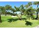 Scenic golf course view featuring a sand trap and mature trees at 2103 Harbourside Dr # 1102, Longboat Key, FL 34228