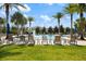 Relax poolside in this community at the pool surrounded by palm trees and comfortable lounge chairs at 2316 Springhaven Ln, Lakewood Ranch, FL 34211