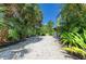 Backyard featuring a tropical landscape with plants on gravel ground cover, providing a natural and low-maintenance outdoor space at 2321 Milford Cir, Sarasota, FL 34239