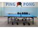 Well-equipped game room featuring a professional ping pong table for recreational enjoyment at 3615 Puerta Ct # 8516, Sarasota, FL 34232