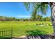 Lush green backyard overlooking a serene green golf course at 3636 Torrey Pines Blvd, Sarasota, FL 34238