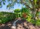 This backyard provides a serene escape, with a stepping stone path, lush greenery, and a mature tree at 3900 Country View Dr, Sarasota, FL 34233