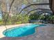 Outdoor swimming pool within a screened enclosure, surrounded by a deck and lush landscaping at 3900 Country View Dr, Sarasota, FL 34233