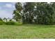 Backyard view of a manicured lawn and tree line showing homes in the distance at 6710 36 E Ave # 114, Palmetto, FL 34221