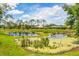 Peaceful backyard with a pond at 7133 Dornough Ln, Bradenton, FL 34202