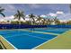 The well-maintained tennis courts are ready for a match on a sunny day, surrounded by mature palm trees at 13513 Deep Blue Pl, Bradenton, FL 34211