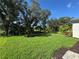 View of the backyard with green grass and landscaped flower beds at 17134 Savory Mist Cir, Bradenton, FL 34211