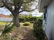 Lush backyard featuring a mature tree, partial privacy fence, and established landscaping adjacent to the home at 22321 Yonkers Ave, Port Charlotte, FL 33952
