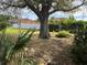 Expansive backyard featuring a mature tree, lush lawn, garden, and privacy fencing around the perimeter of the property at 22321 Yonkers Ave, Port Charlotte, FL 33952
