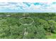 Aerial view of property surrounded by a lush canopy of trees offering privacy and a sense of seclusion at 3217 Oak Grove Dr, Sarasota, FL 34243