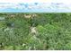 Aerial view highlighting a home nestled within lush landscaping and mature trees, offering a private setting at 3217 Oak Grove Dr, Sarasota, FL 34243