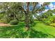 Verdant backyard with manicured lawn, mature trees and native landscaping in a peaceful and private setting at 3217 Oak Grove Dr, Sarasota, FL 34243