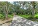 Long driveway leading to a charming home surrounded by mature trees and lush landscaping at 3217 Oak Grove Dr, Sarasota, FL 34243