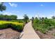 A picturesque path leads into the community, framed by lush greenery and inviting landscapes at 3355 Hilltop Cir, Bradenton, FL 34211