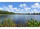Beautiful lake with blue skies and clouds, showcasing natural beauty at 616 Dogwood Run, Bradenton, FL 34212