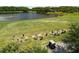 Golfers practice on the lush green driving range next to a serene lake at 8840 Brookfield Ter, Bradenton, FL 34212
