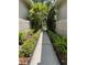 A shady walkway leads to the units at 900 La Costa Cir # 4, Sarasota, FL 34237