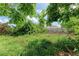 Lush backyard view, showcasing wild greenery with space and privacy at 10095 Nassau Ct, Seminole, FL 33776