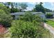 Home exterior featuring mature trees and landscaping at 10095 Nassau Ct, Seminole, FL 33776