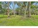 Serene backyard with mature trees providing shade and privacy for relaxation and recreation at 1509 Shadow Ridge Cir, Sarasota, FL 34240