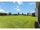 Large backyard featuring healthy grass and a partial view of the home at 17209 Barnwood Pl, Bradenton, FL 34211