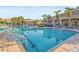 Community swimming pool with palm trees and lounge seating for relaxing in the sun at 2920 Oriole Dr, Sarasota, FL 34243
