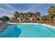 Beautiful outdoor swimming pool surrounded by palm trees and lounge chairs at 4200 Reflections Pkwy, Sarasota, FL 34233